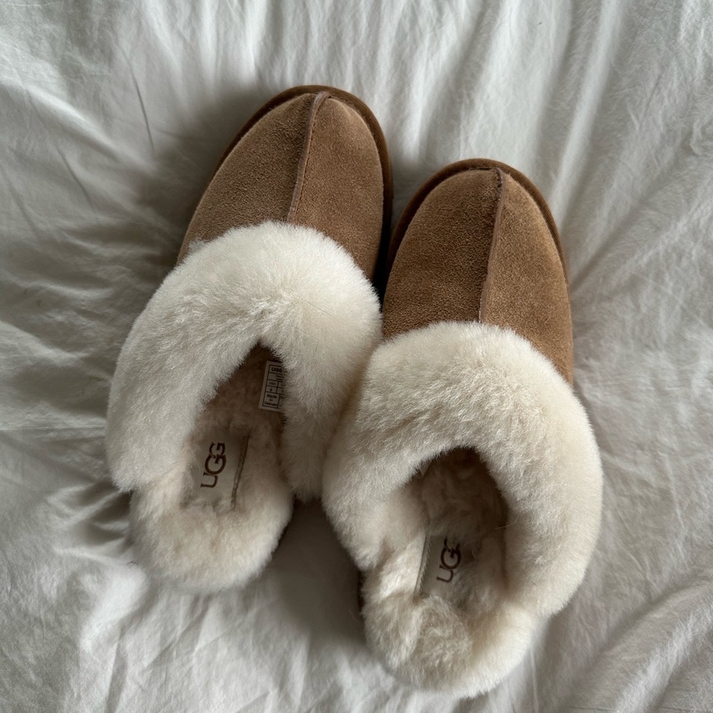 Platform UGG